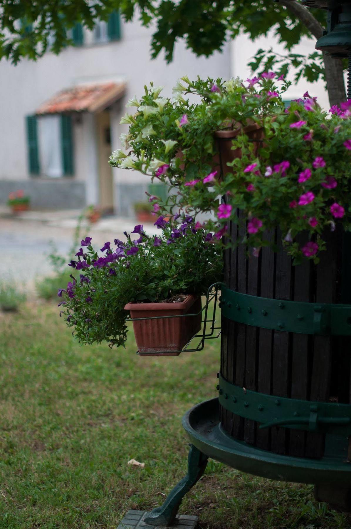 B&B Cascina Santa Gavi Exterior photo